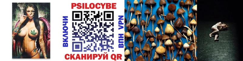 наркошоп  Можайск  Галлюциногенные грибы Psilocybe 